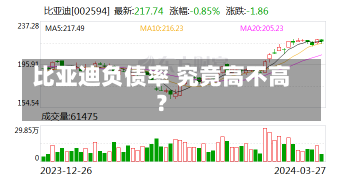 比亚迪负债率 究竟高不高？-第2张图片-建明新闻