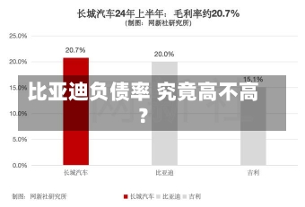 比亚迪负债率 究竟高不高？-第1张图片-建明新闻