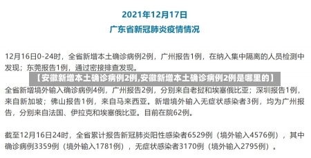 【安徽新增本土确诊病例2例,安徽新增本土确诊病例2例是哪里的】-第1张图片-建明新闻