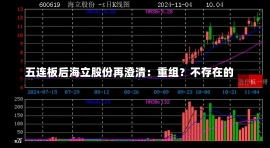 五连板后海立股份再澄清：重组？不存在的-第2张图片-建明新闻