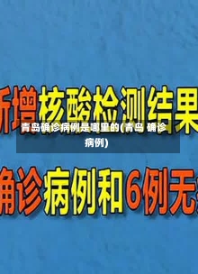 青岛确诊病例是哪里的(青岛 确诊病例)-第1张图片-建明新闻