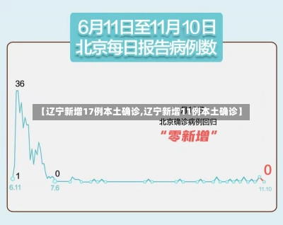 【辽宁新增17例本土确诊,辽宁新增11例本土确诊】-第2张图片-建明新闻