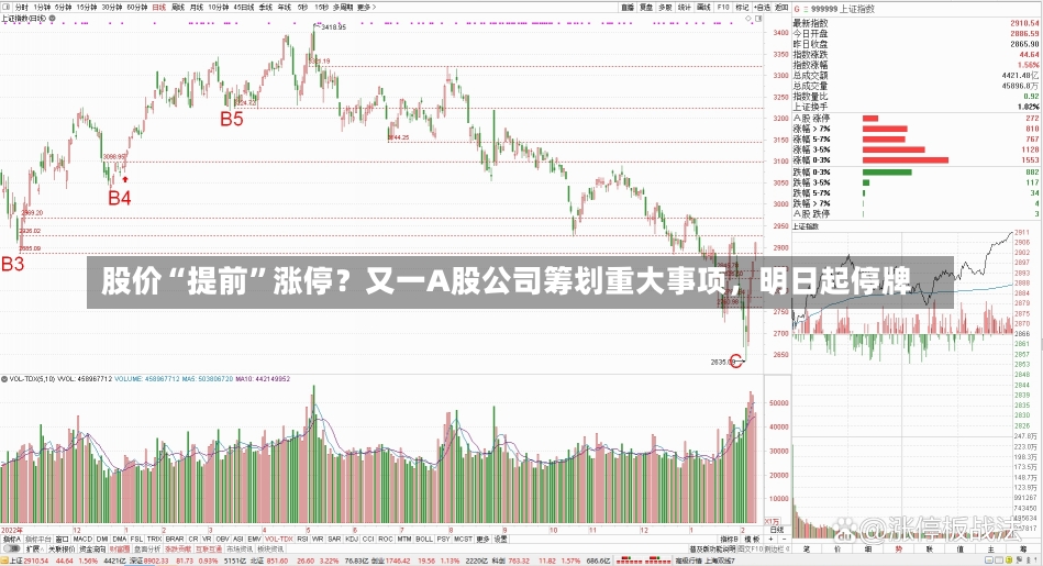 股价“提前”涨停？又一A股公司筹划重大事项，明日起停牌-第2张图片-建明新闻