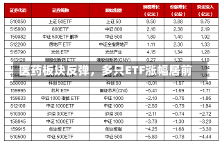 医药板块反弹，多只ETF涨幅居前-第1张图片-建明新闻