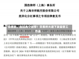 停牌前，连拉两个涨停！交易所火速下发监管工作函-第2张图片-建明新闻