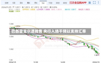 巴西雷亚尔遭抛售 央行入场干预以支持汇率-第2张图片-建明新闻