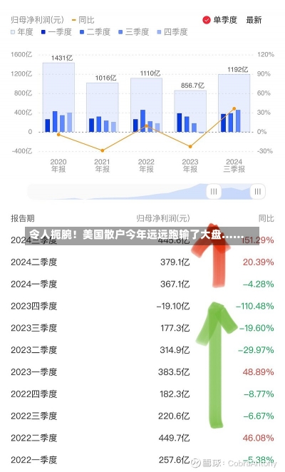 令人扼腕！美国散户今年远远跑输了大盘……-第3张图片-建明新闻