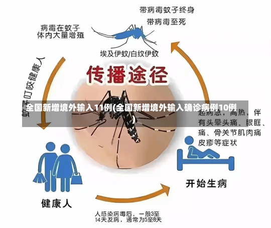 全国新增境外输入11例(全国新增境外输入确诊病例10例)-第2张图片-建明新闻