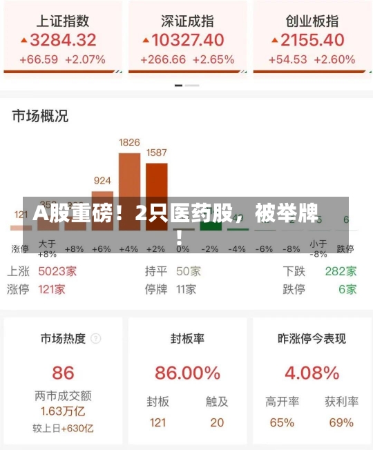 A股重磅！2只医药股，被举牌！-第3张图片-建明新闻