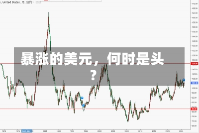 暴涨的美元，何时是头？-第2张图片-建明新闻