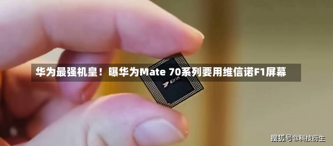 华为最强机皇！曝华为Mate 70系列要用维信诺F1屏幕-第3张图片-建明新闻