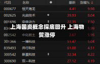 上海国资概念探底回升 上海物贸涨停-第1张图片-建明新闻