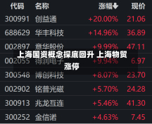 上海国资概念探底回升 上海物贸涨停-第2张图片-建明新闻