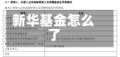 新华基金怎么了-第1张图片-建明新闻