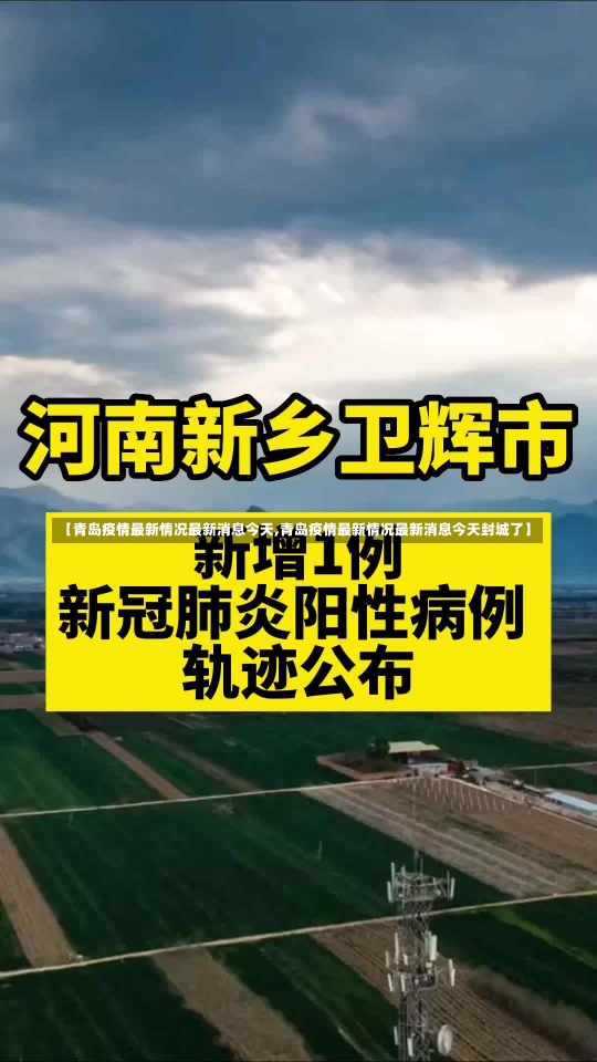 【青岛疫情最新情况最新消息今天,青岛疫情最新情况最新消息今天封城了】-第3张图片-建明新闻