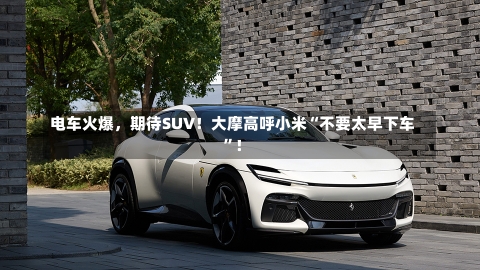 电车火爆，期待SUV！大摩高呼小米“不要太早下车”！-第1张图片-建明新闻