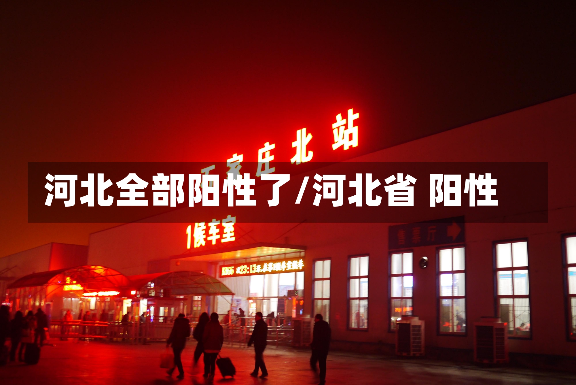 河北全部阳性了/河北省 阳性-第1张图片-建明新闻