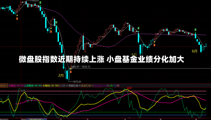 微盘股指数近期持续上涨 小盘基金业绩分化加大-第1张图片-建明新闻