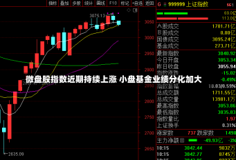 微盘股指数近期持续上涨 小盘基金业绩分化加大-第2张图片-建明新闻