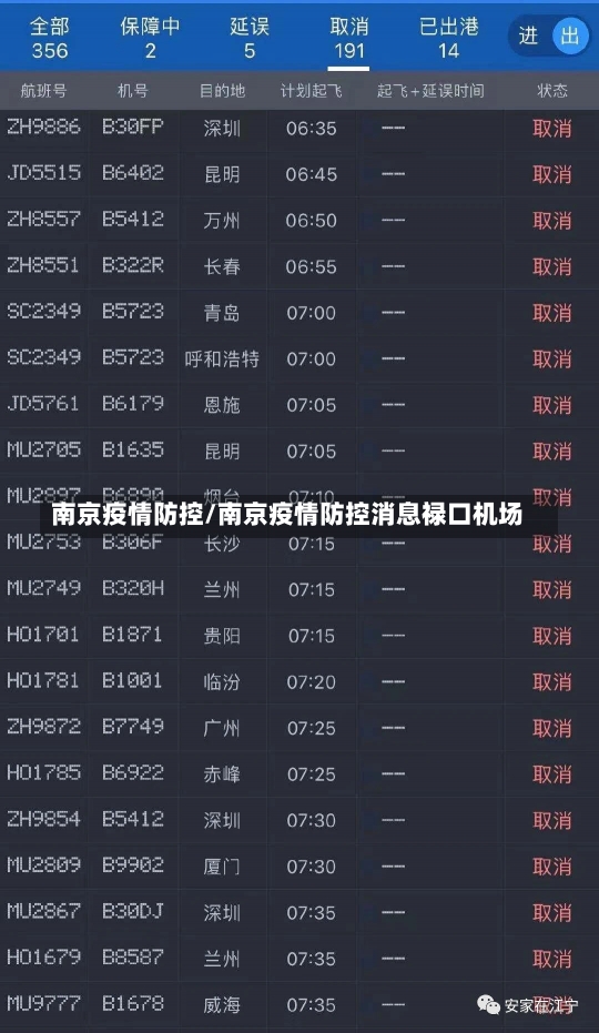 南京疫情防控/南京疫情防控消息禄口机场-第2张图片-建明新闻
