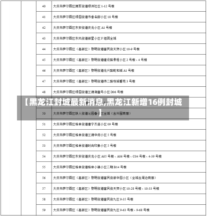 【黑龙江封城最新消息,黑龙江新增16例封城】-第1张图片-建明新闻