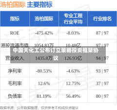 中国天化工公布订立策略投资框架协议-第3张图片-建明新闻