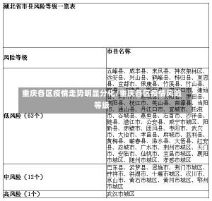 重庆各区疫情走势明显分化/重庆各区疫情风险等级-第2张图片-建明新闻