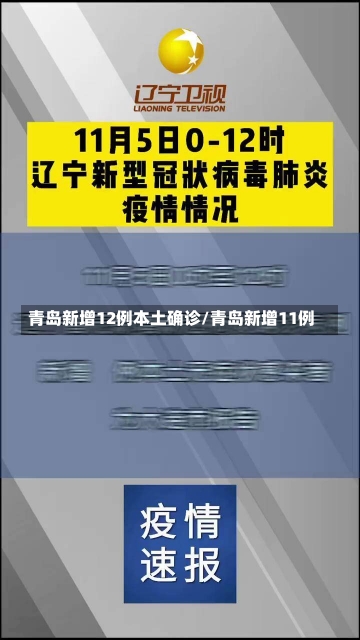 青岛新增12例本土确诊/青岛新增11例-第2张图片-建明新闻