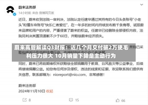 蔚来高管解读Q3财报：近几个月交付破2万使毛利压力很大 10月销量下降是主动行为-第3张图片-建明新闻