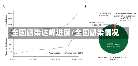 全国感染达峰进度/全国感染情况-第2张图片-建明新闻