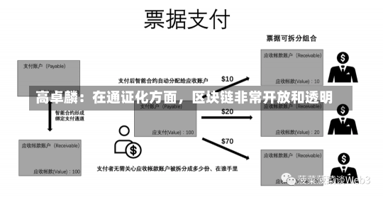 高卓麟：在通证化方面，区块链非常开放和透明-第1张图片-建明新闻