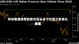 对冲基金持有的欧元空头头寸升至三年来比较高
水平-第1张图片-建明新闻