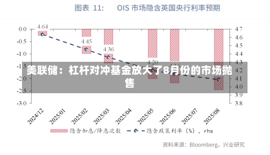 美联储：杠杆对冲基金放大了8月份的市场抛售-第1张图片-建明新闻