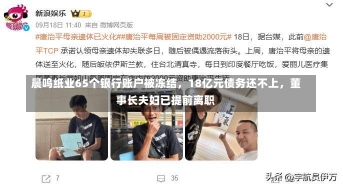 晨鸣纸业65个银行账户被冻结，18亿元债务还不上，董事长夫妇已提前离职-第2张图片-建明新闻