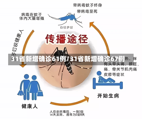 31省新增确诊61例/31省新增确诊67例-第1张图片-建明新闻