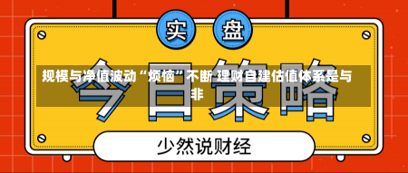 规模与净值波动“烦恼”不断 理财自建估值体系是与非-第1张图片-建明新闻