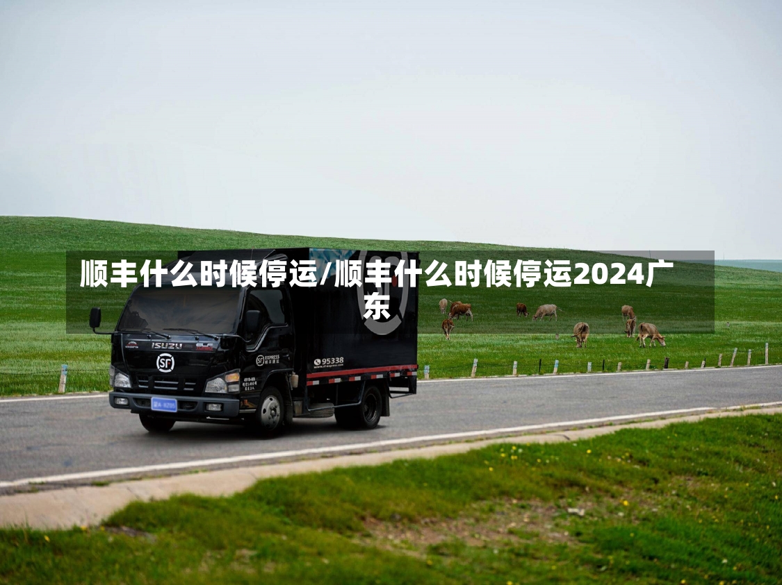 顺丰什么时候停运/顺丰什么时候停运2024广东-第1张图片-建明新闻