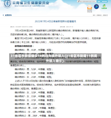 31省区市新增确诊14例均为境外输入(31省区市新增11例境外输入确诊)-第1张图片-建明新闻