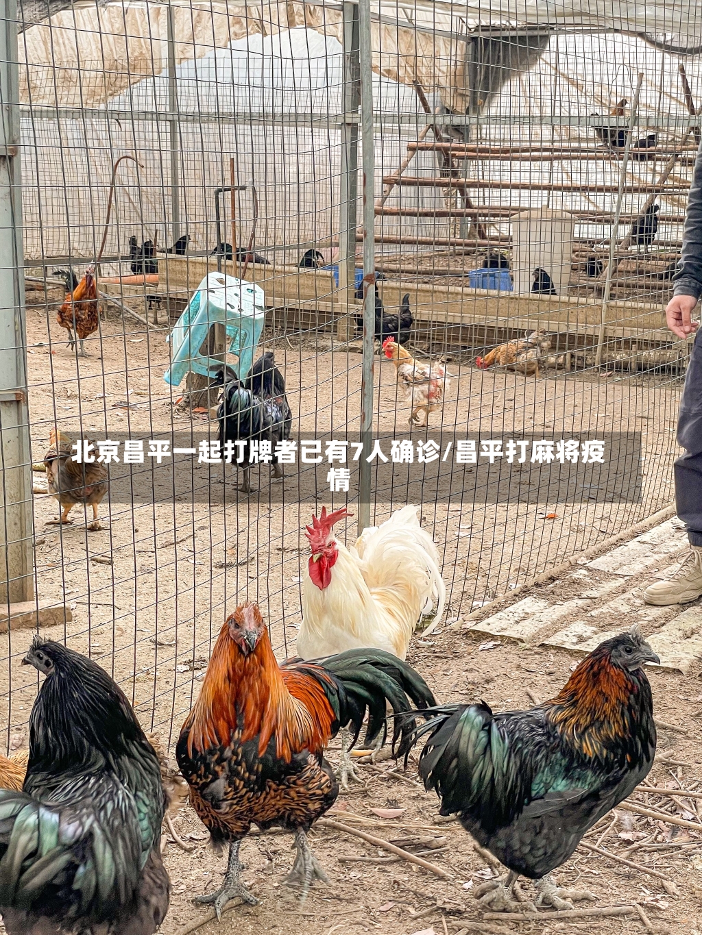 北京昌平一起打牌者已有7人确诊/昌平打麻将疫情-第1张图片-建明新闻