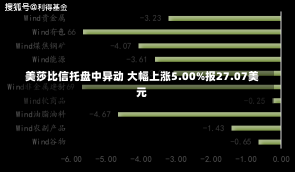 美莎比信托盘中异动 大幅上涨5.00%报27.07美元-第1张图片-建明新闻