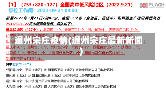 通州宋庄疫情(通州宋庄最新新闻)-第2张图片-建明新闻