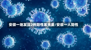 安徽一地发现2例阳性系夫妻/安徽一人阳性-第3张图片-建明新闻