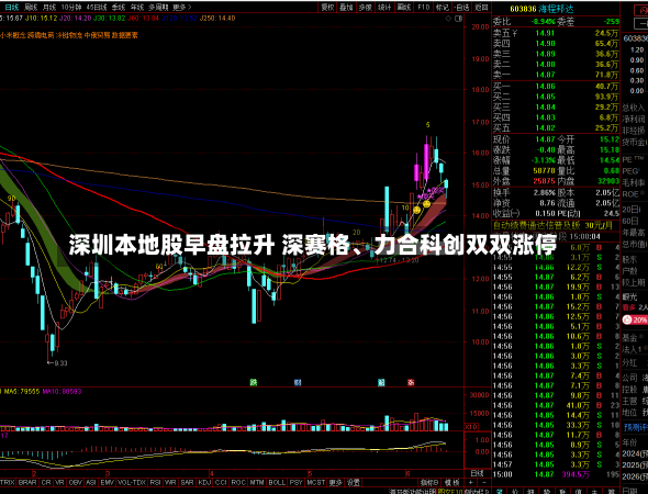 深圳本地股早盘拉升 深赛格、力合科创双双涨停-第2张图片-建明新闻