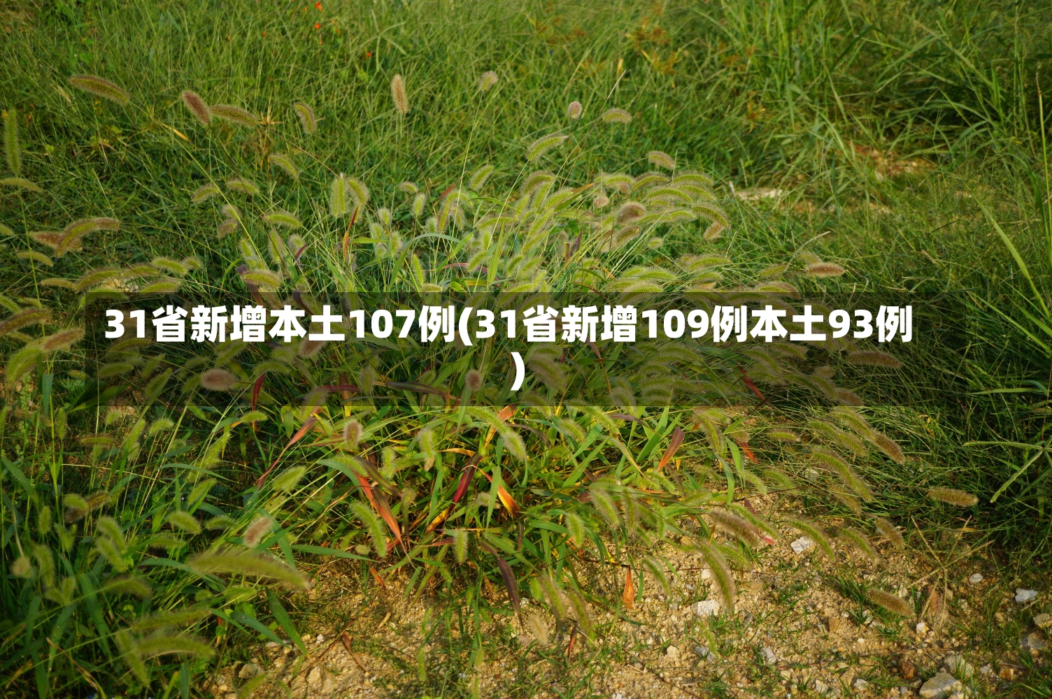 31省新增本土107例(31省新增109例本土93例)-第1张图片-建明新闻