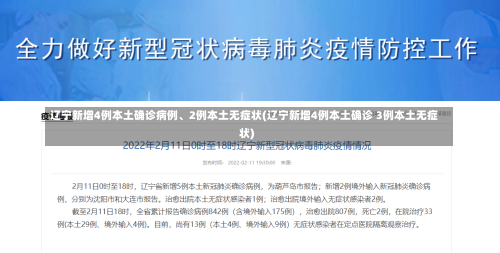 辽宁新增4例本土确诊病例、2例本土无症状(辽宁新增4例本土确诊 3例本土无症状)-第1张图片-建明新闻
