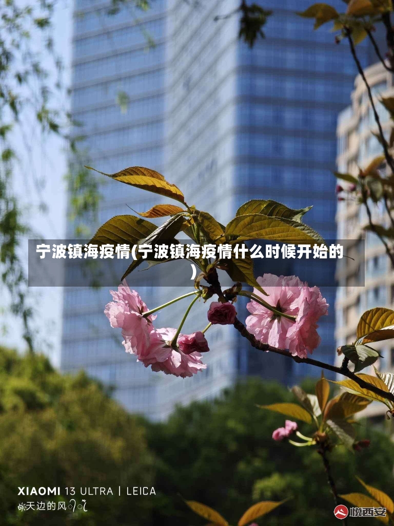 宁波镇海疫情(宁波镇海疫情什么时候开始的)-第1张图片-建明新闻