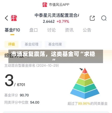 市场反复震荡，这类基金可“求稳”-第1张图片-建明新闻