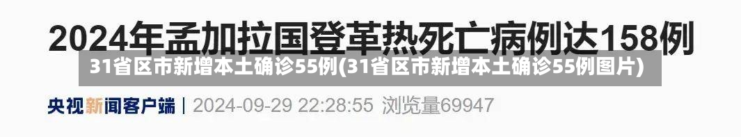 31省区市新增本土确诊55例(31省区市新增本土确诊55例图片)-第2张图片-建明新闻