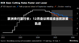 欧洲央行副行长：12月会议将延续当前政策轨迹-第2张图片-建明新闻