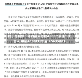 终于等到你！年内最火指数A500“最佳”代言人 中证A500ETF华宝（563500）-第2张图片-建明新闻